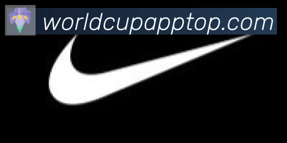 世界杯APP下载合作伙伴